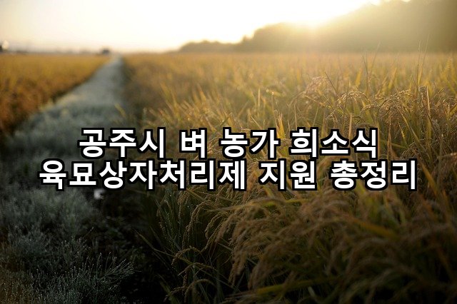 공주시 벼 농가 희소식 육묘상자처리제 지원 총정리